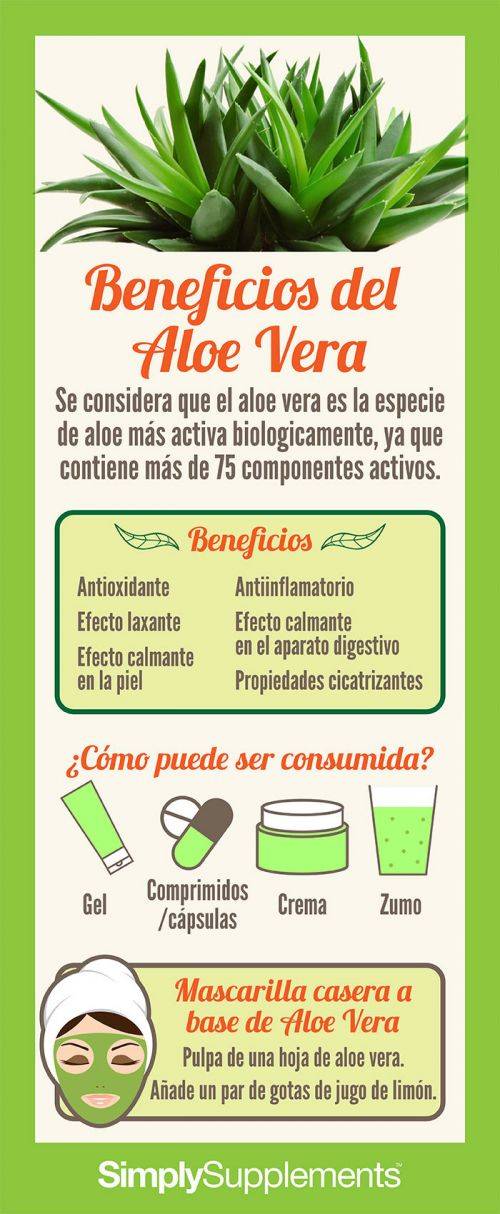 Beneficios del Aloe Vera | Supplements